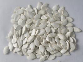 snow white pumpkin seeds