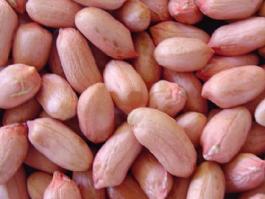 peanut kernels long