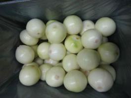 fresh peeled onion