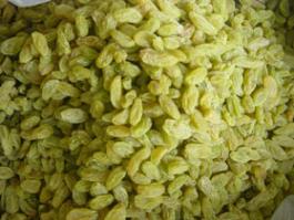 green raisins