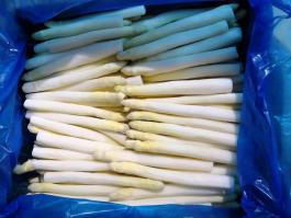 Frozen white asparagus 