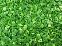 Frozen spring green onion 