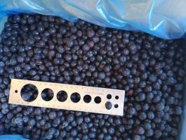 frozen blueberry