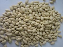 blanched peanut kernels 