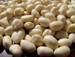 blanched peanut kernels round