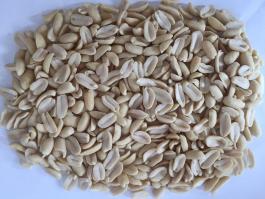 blanched peanut kernels splits