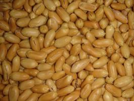 fried peanut kernels