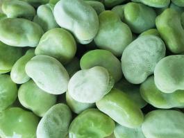 frozen broad beans