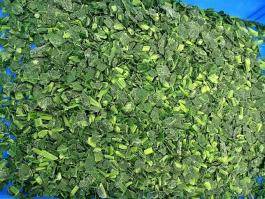 frozen spinach dice