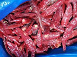 Frozen chili whole