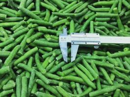 Frozen green bean cut