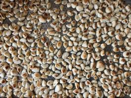 Frozen grilled garlic clove