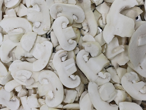 champignon (1).jpg
