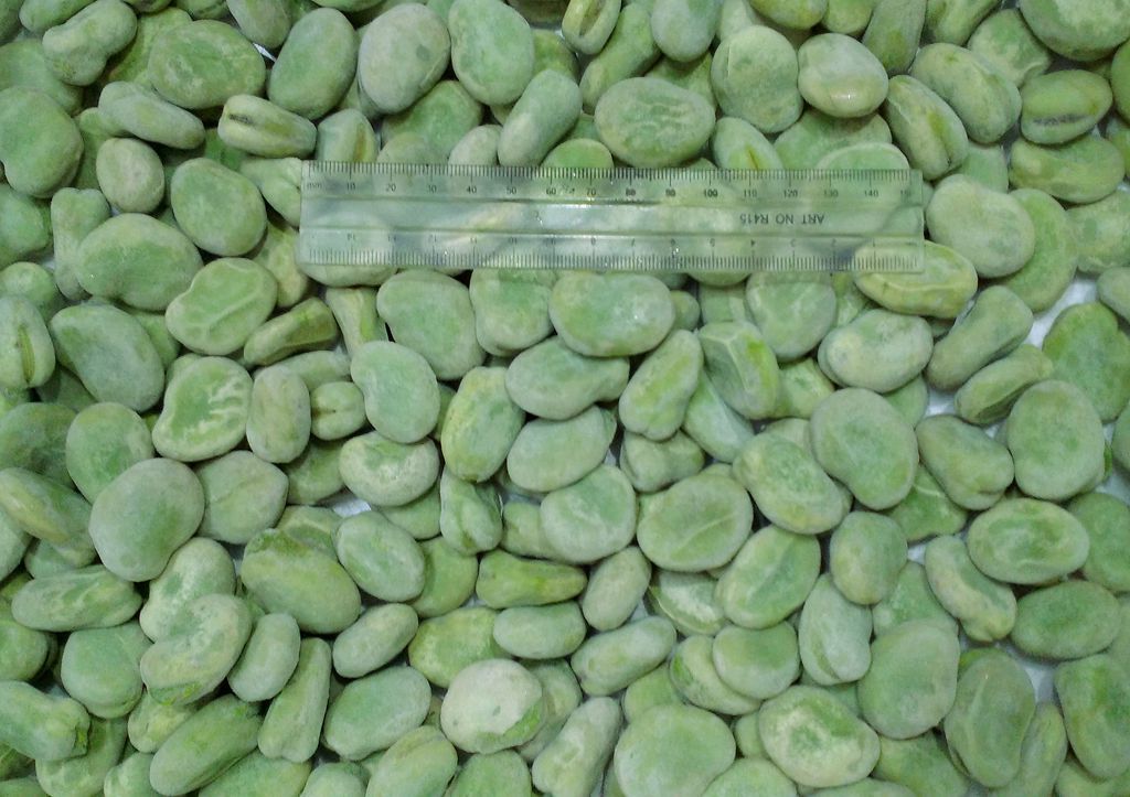 1778741480819989.jpg frozen broad bean.jpg
